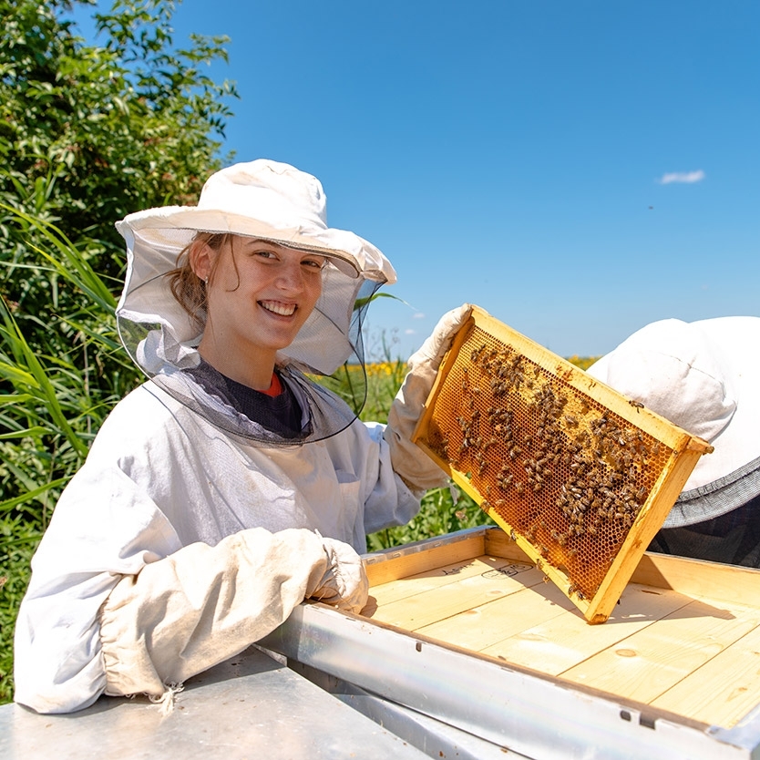 Pour soi ou à offrir  : VISITE DECOUVERTE  d'un rucher et la vie des abeilles 