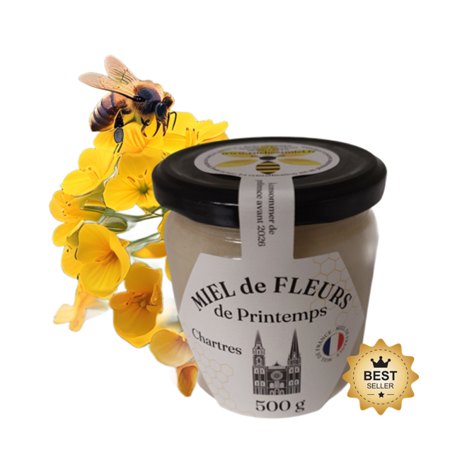 Miel de PRINTEMPS CREMEUX - 500g - récolte 17 mai 2024