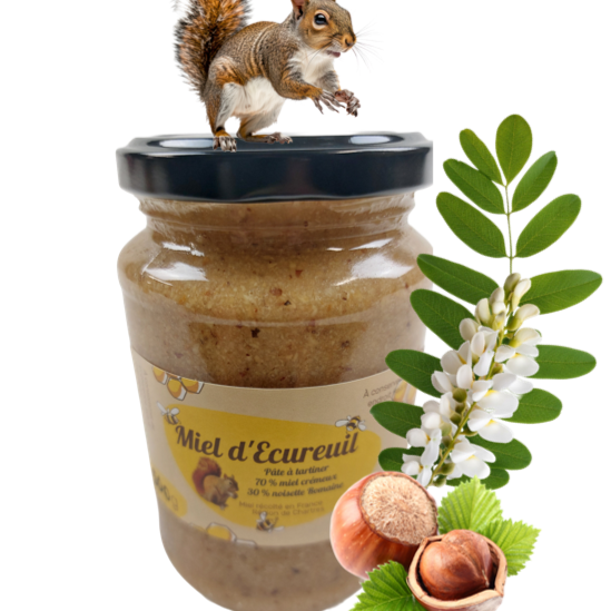 Miel d'écureuil 500 g - Pâte à tartiner miel d'acacia et noisettes