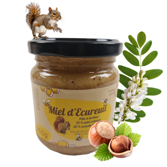 Miel d'écureuil 250 g - Pâte à tartiner miel d'acacia et noisettes